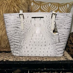 Brahmin Medium Asher in Halo